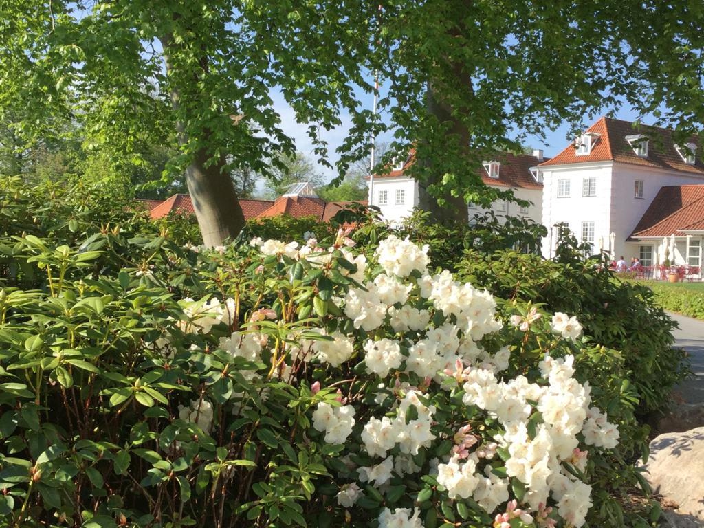 Rungstedgaard Hotel Екстериор снимка